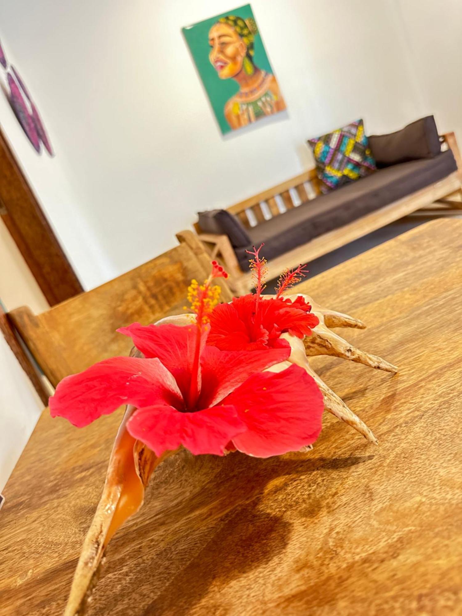 Sand Beach Boutique Apartments Bwejuu Exteriér fotografie